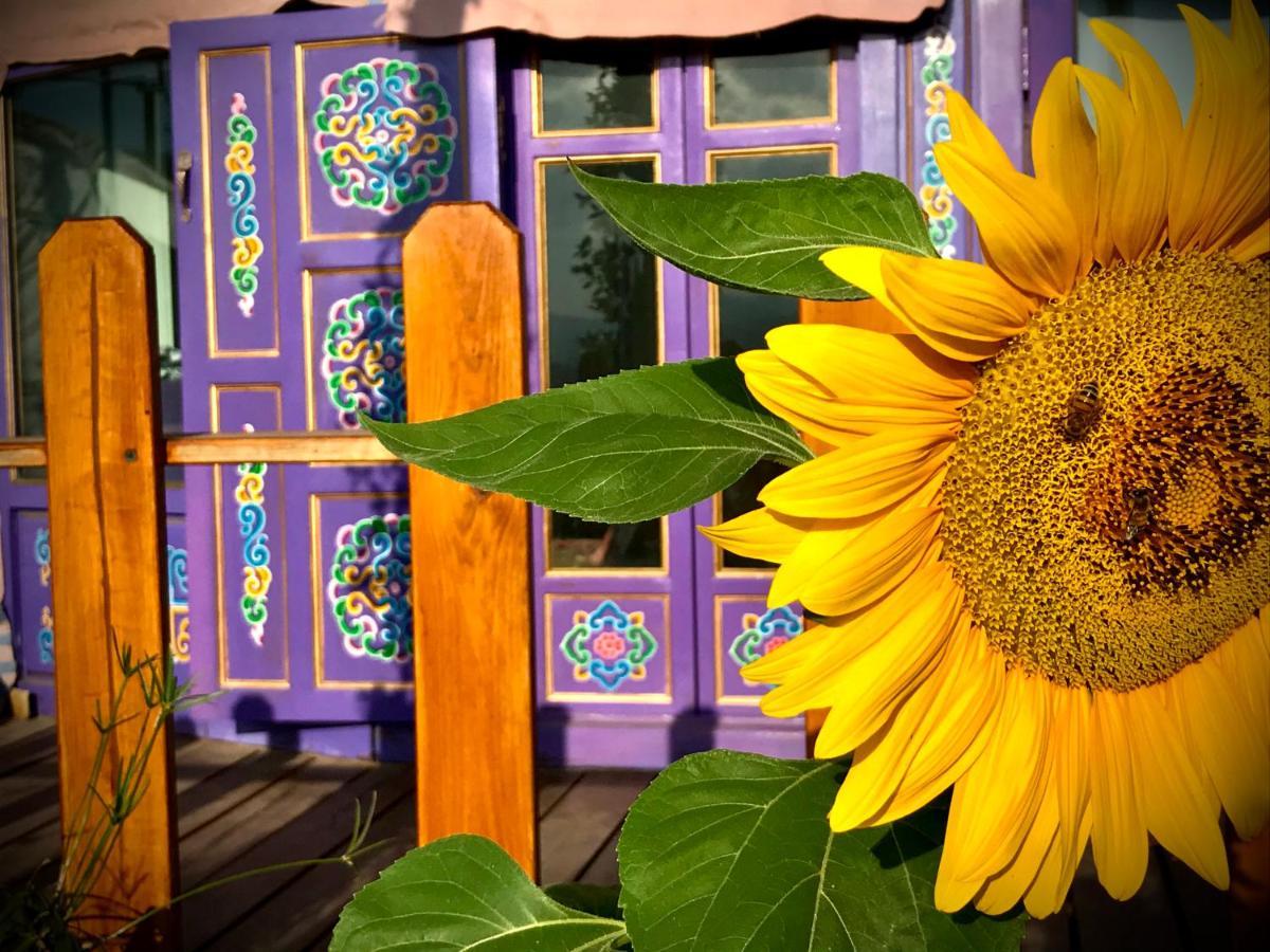Exclusive Nirvana yurts Glamping Kato Drys Exterior foto